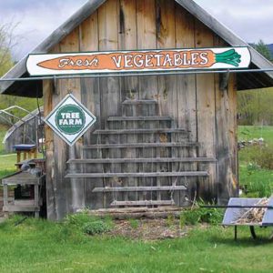 Farming to Teach at The Community School Image